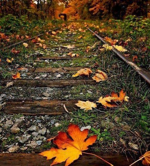 عکس زیبا از منظره پاییز