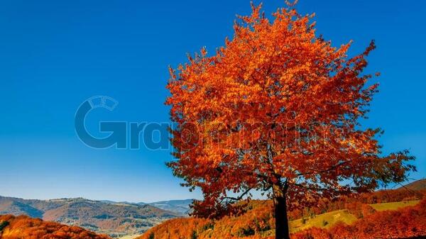 دانلود عکس منظره زیبا پاییز