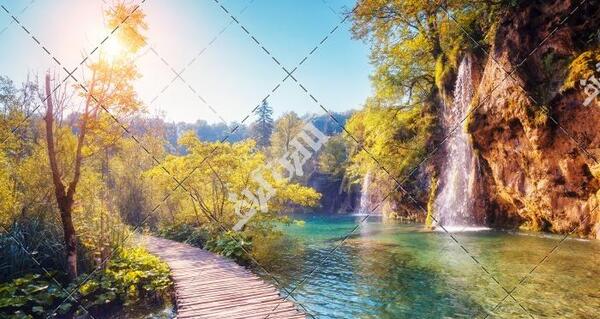 عکس منظره زیبا بهار