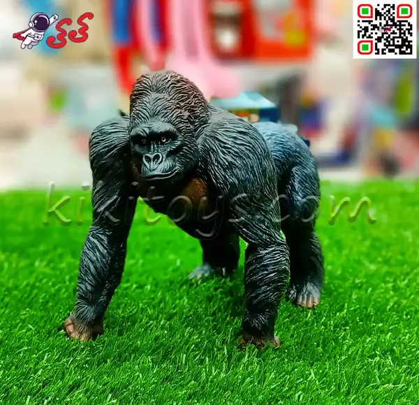 عکس میمون های دسته جمعی