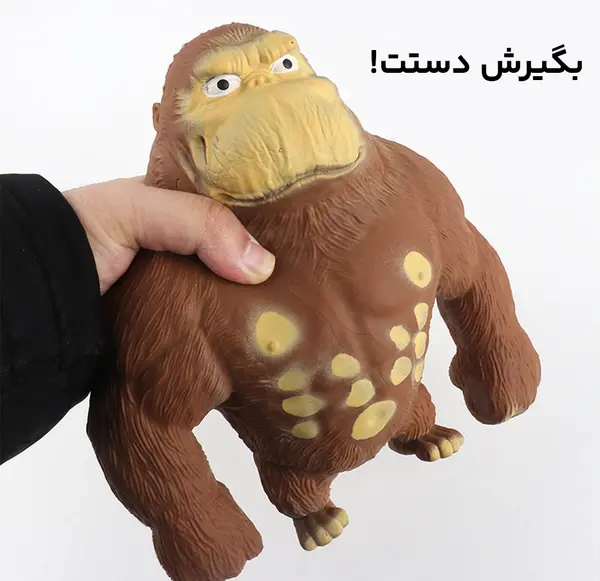 عکس میمون واقعی کوچولو