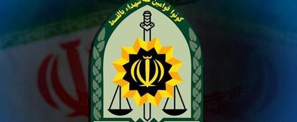 عکس واقعی میمون پنجه طلا