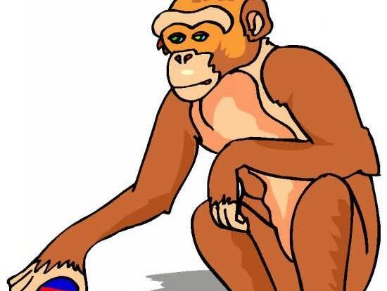 عکس میمون برای نقاشی کشیدن