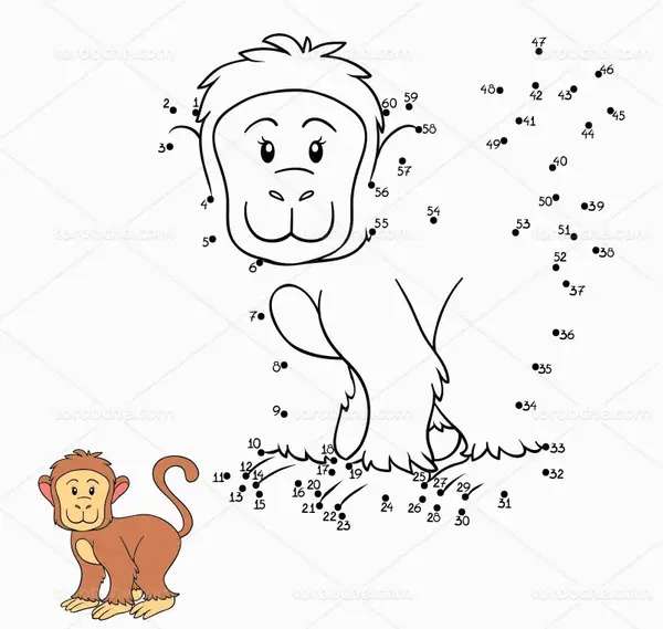عکس میمون نقاشی میمون