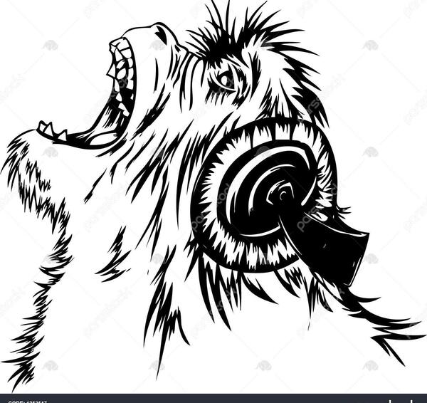 عکس میمون گوش بل