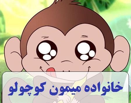 عکس های میمون کوچولو