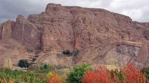 عکس های میمون قلعه