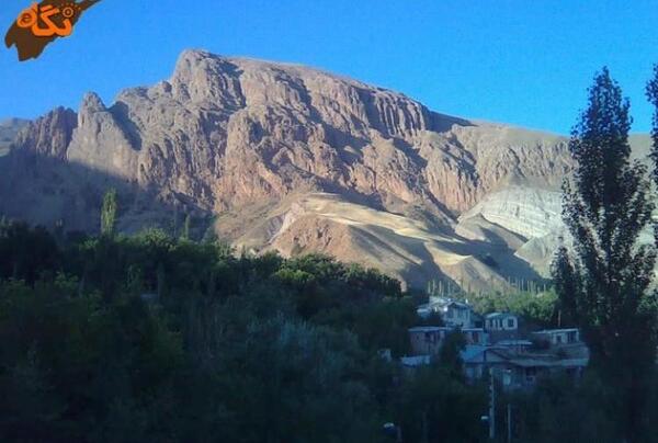عکس های میمون قلعه