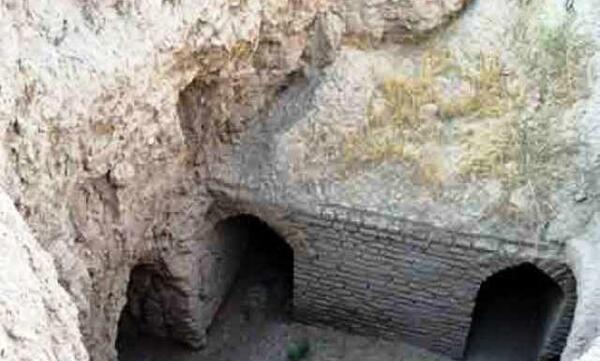 عکس های میمون قلعه