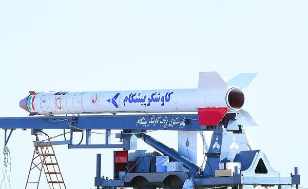 عکس اولین میمون فضانورد