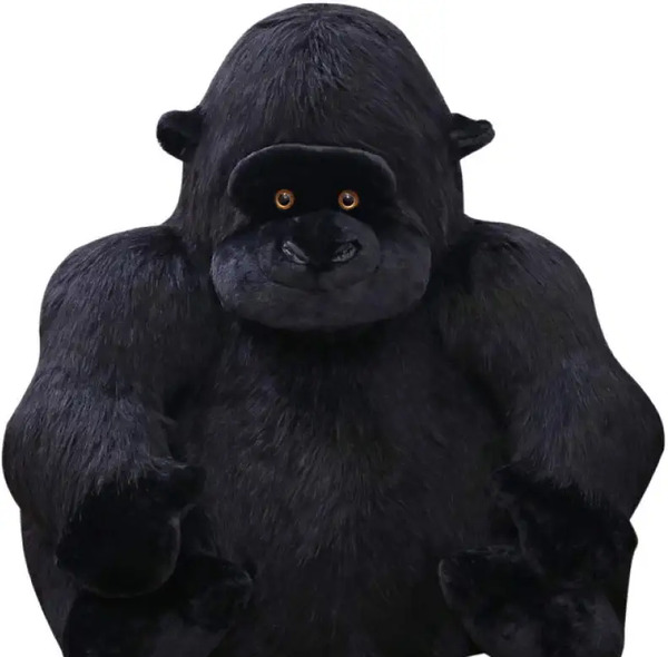 عکس میمون عروسک