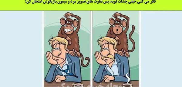 عکس دوتا میمون عاشقانه