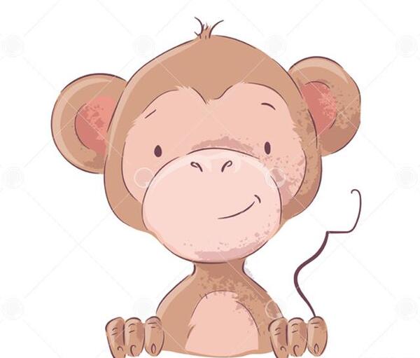 عکس طراحی میمون