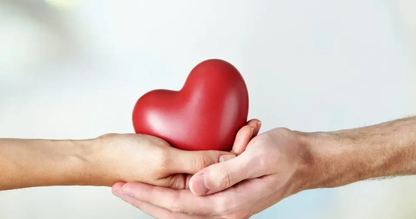 عکس میمون شبیه دختر