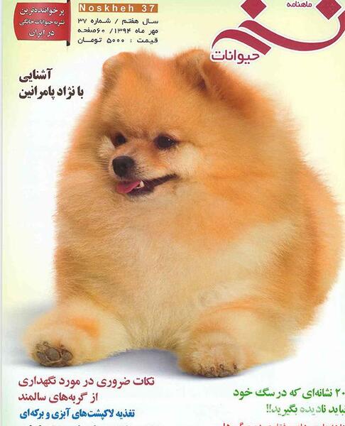 عکس ماه های سال حیوان