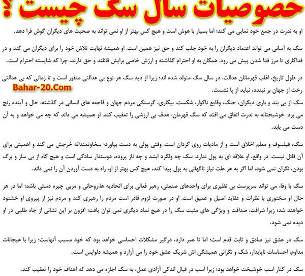 عکس ماه های سال حیوان