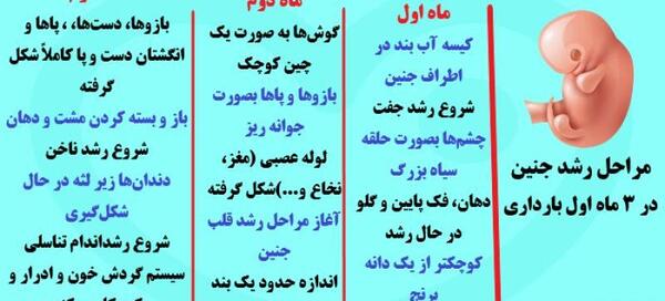عکس جنین یک ماه و نیمه