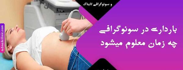 عکس جنین یک ماهه در شکم مادر