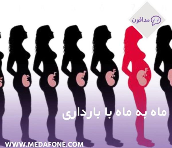 عکس جنین یک ماهه در شکم مادر