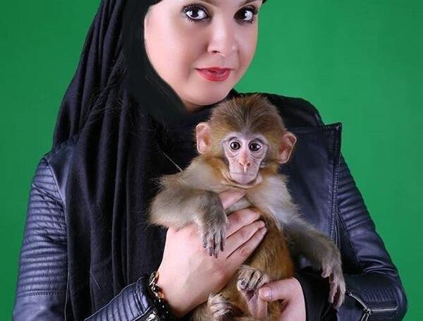 عکس میمون با لباس دخترانه