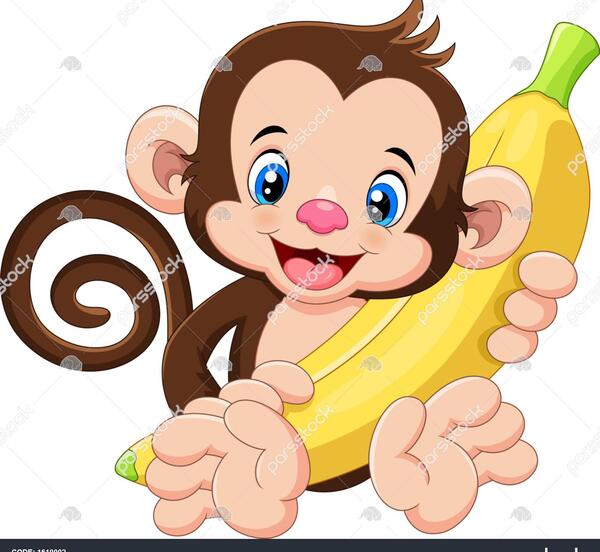 دانلود عکس میمون بامزه