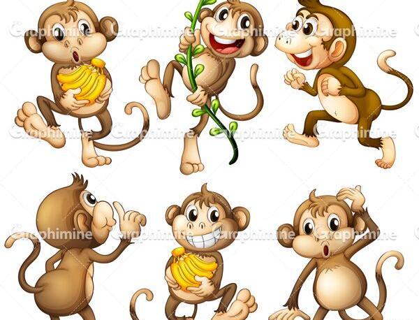 عکس میمون کارتونی زیبا
