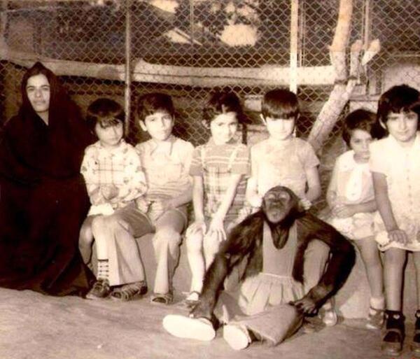 عکس میمون دختر پسر