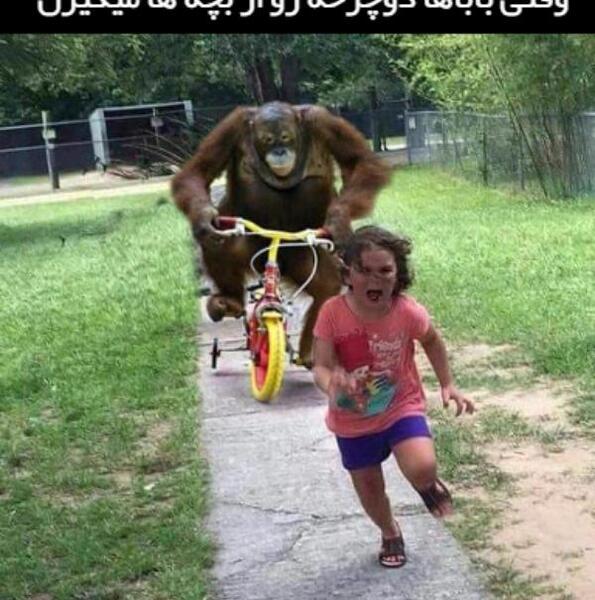 عکس میمون دختر پسر