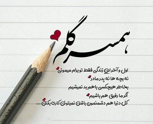 عکس پروفایل میمون ها