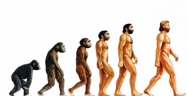 عکس آدم میمونی