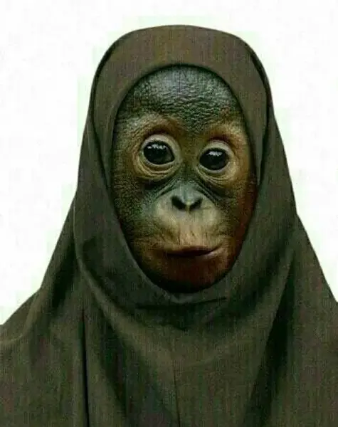 عکس میمون با لباس زرد