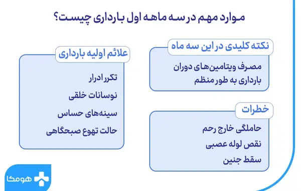 عکس جدول ماه های بارداری