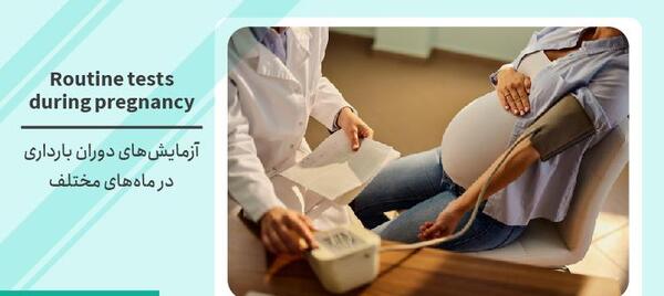 عکس جدول ماه های بارداری