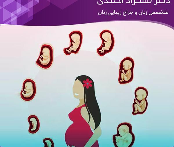 عکس جنین در ماه های بارداری
