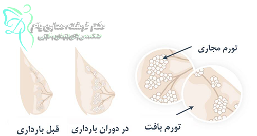 عکس های ماه اول بارداری