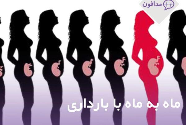 عکس های ماه به ماه بارداری