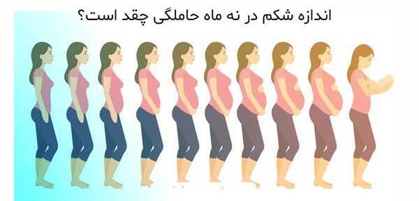 عکس شکم در ماه های مختلف بارداری