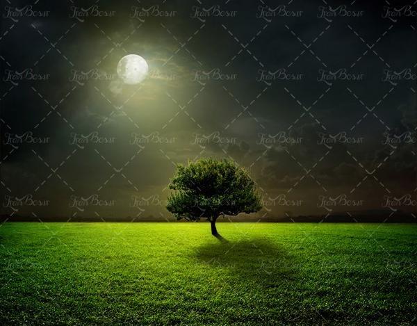 عکس ماه نصفه برای بک گراند