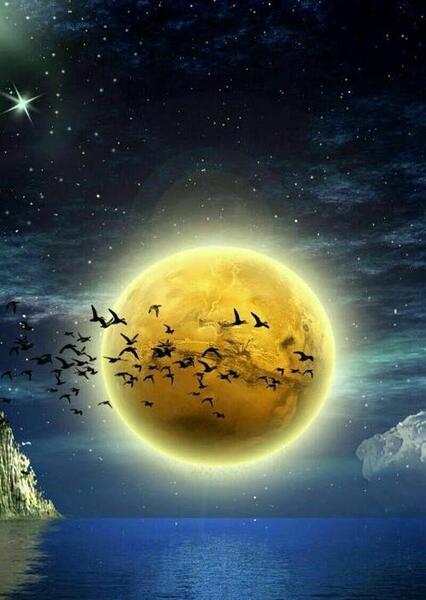 عکس از ماه زرد