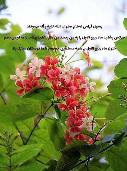 عکس نوشته اول ماه ربیع الاول مبارک