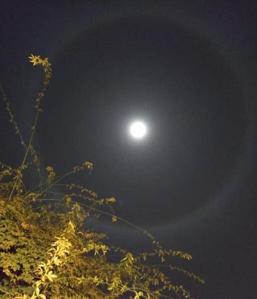 عکس ماه در تاریکی شب