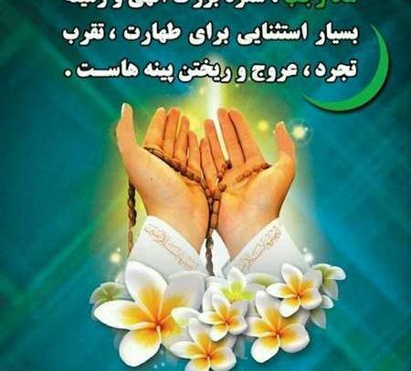 عکس ماه رجب این الرجبیون