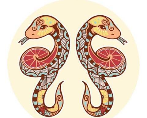 عکس حیوان ماه تیر