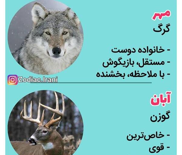عکس حیوان ماه تیر