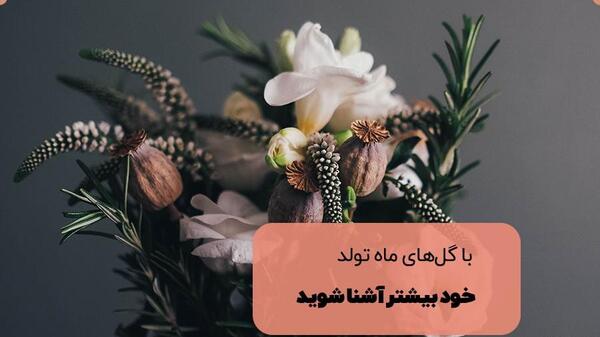 عکس ماه تولد به میلادی