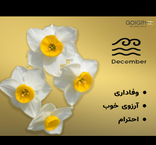 عکس ماه تولد به میلادی