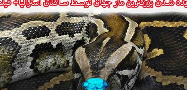 عکس بزرگترین ماه مار جهان