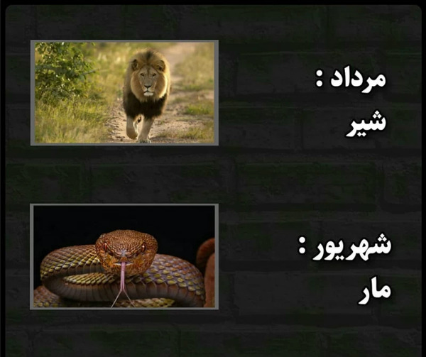 عکس حیوون ماه آذر