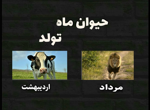 عکس حیوان ماه اسفند