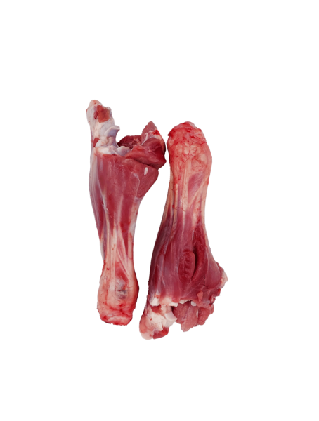 عکس از ماهیچه گوسفندی